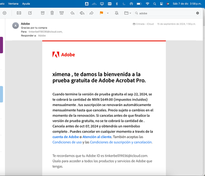 Captura de pantalla 2024-12-07 a la(s) 3.58.46 p.m..png
