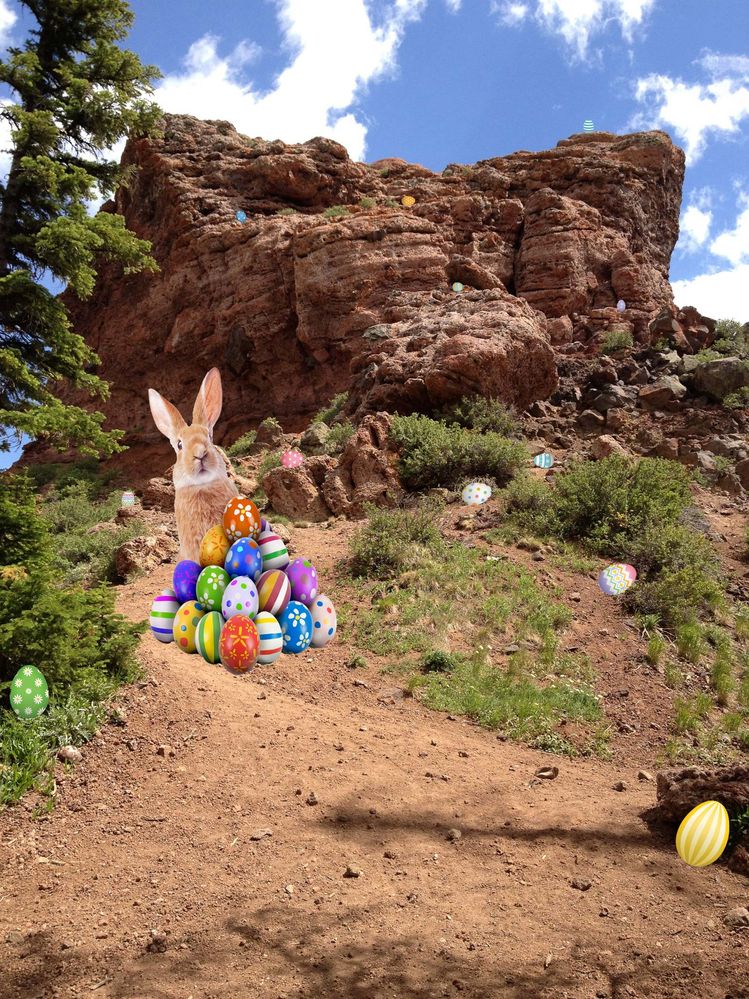 SFTW229RabbitEarsPeak_EasterEggHunt.jpg