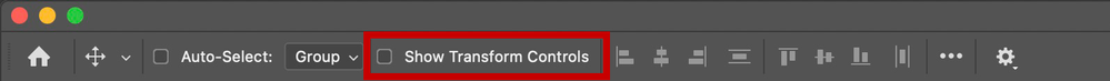 photoshop-bounding-box-preference.png
