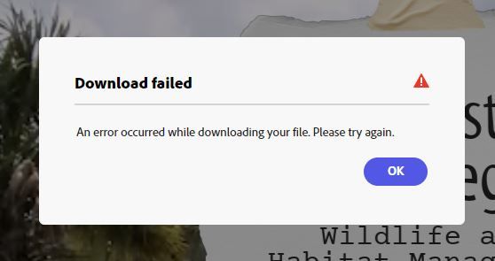 Capture.JPG