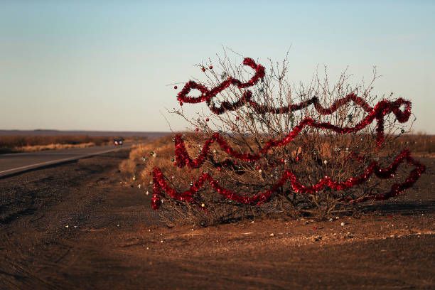 Christmas decorations near the border between the United States and Mexico.