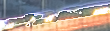 스크린샷 2024-11-19 232947.png