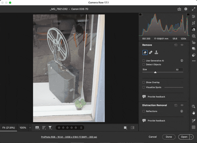 Camera Raw reflection removal tech preview with CR2.gif