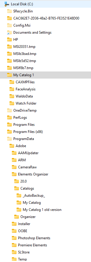 APE file structure.png