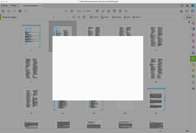 Screen Shot 2025-01-07 at 7.50.18 PM.png