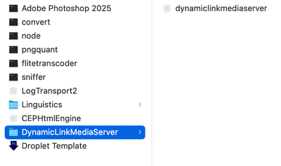 Screenshot 2025-01-08 at 5.36.47 PM.png