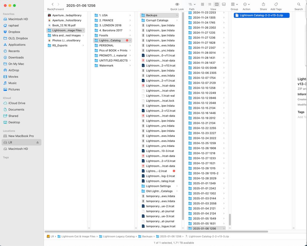 Screenshot 2025-01-10 at 7.44.28 PM.jpg