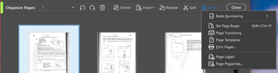 Organize Pages Menu.png