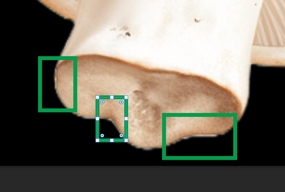 Screenshot 2025-01-16 at 4.29.59 PM.png