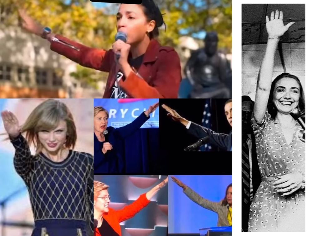 z HEIL GESTURE DEMS.JPG