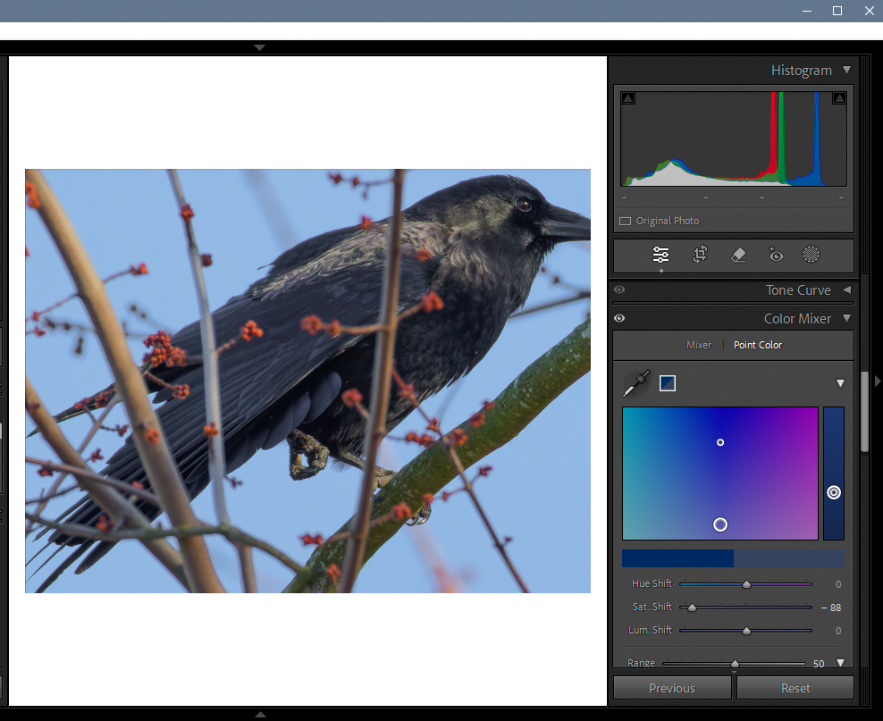 LR-point-color 2.png
