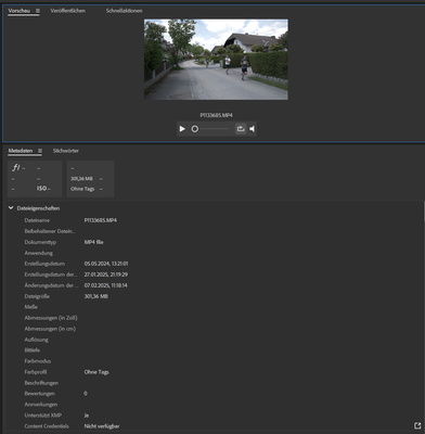Adobe Bridge Video Metadata.png