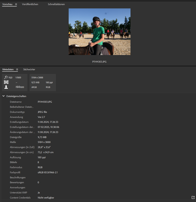 Adobe Bridge JPG Metadata.png