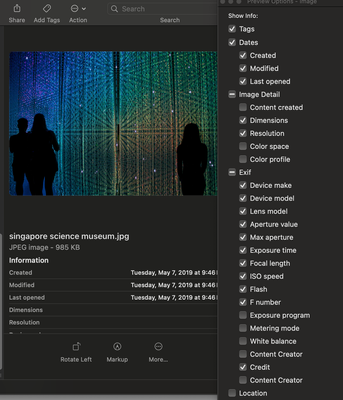 Izzy_Photo_1-1739388213838.png