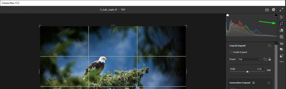 2025-03-04 13_54_12-Adobe Photoshop 2025.png