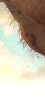 Jordan_Avis6074_3-1741367507544.png