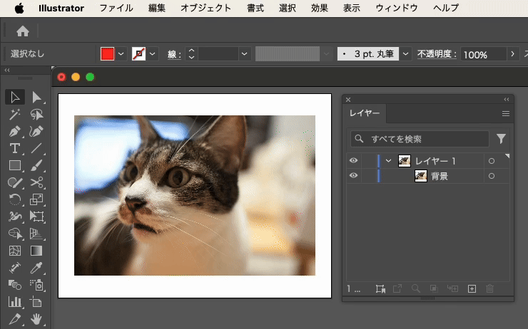 Adobe Express 2025-03-19 15.08.30.gif
