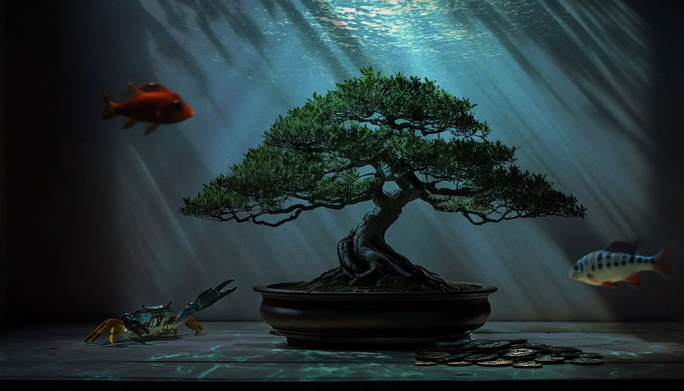 Firefly A single bonsai tree in a minimalist setting, with soft shadows against a neutral background.jpg