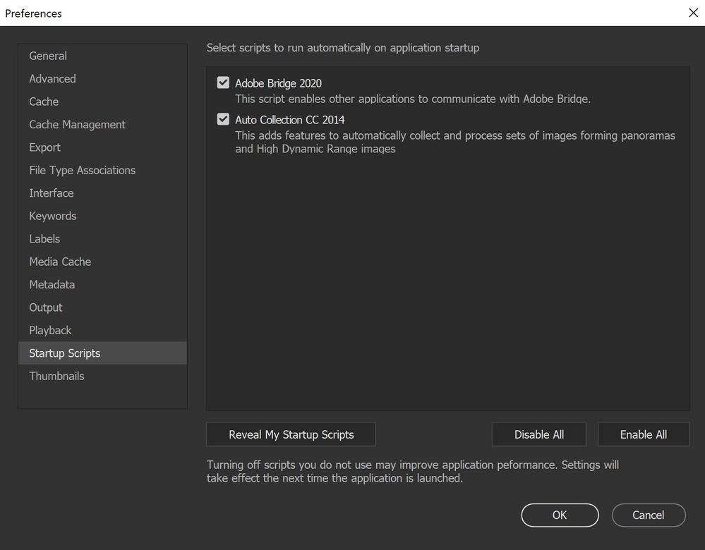 Bridge startup script preferences