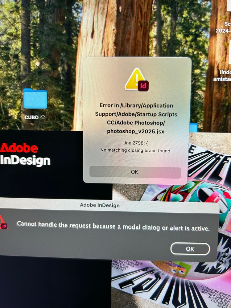 error opening InDesign.jpg