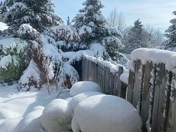 April Snow.jpg