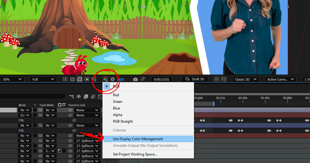 8- AE Use Display Color Management.PNG