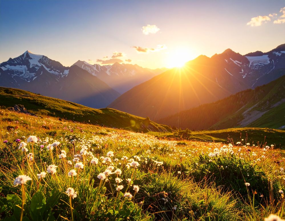 Firefly_golden hour photography light in realistic alpine scene 306479.jpg