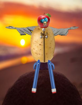 SFTW 242 Rio Potato Man.jpg