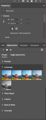 Screenshot 2025-06-09 at 11.10.08 AM.png