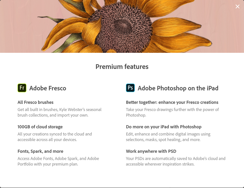 premium features PS on ipad.PNG