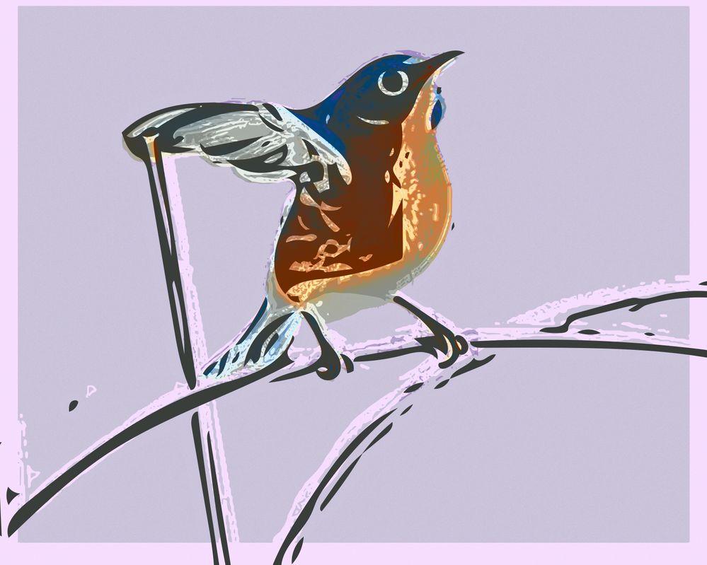P1241609success 2, experiment .jpg