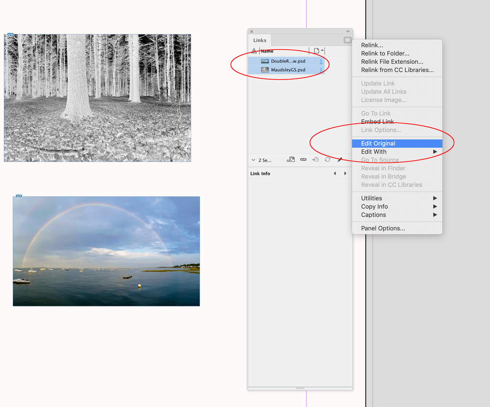 Screen Shot 25.png