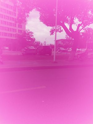 IDG_20250618_170607_143.jpeg