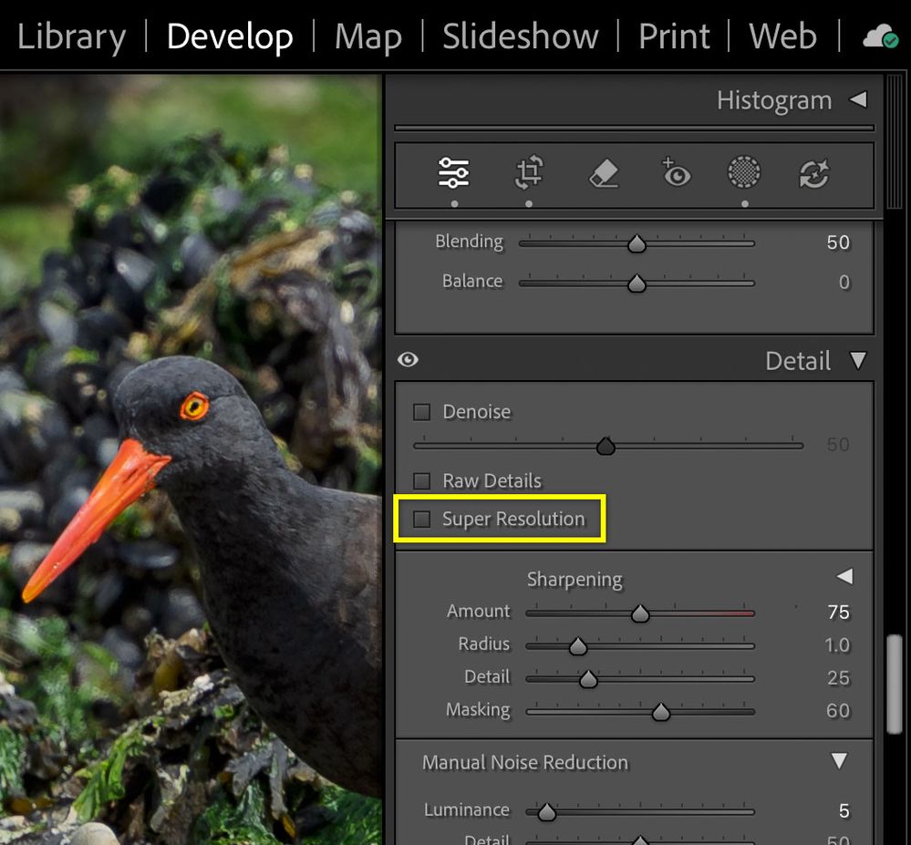 Lightroom-Classic-Super-Resolution.jpg