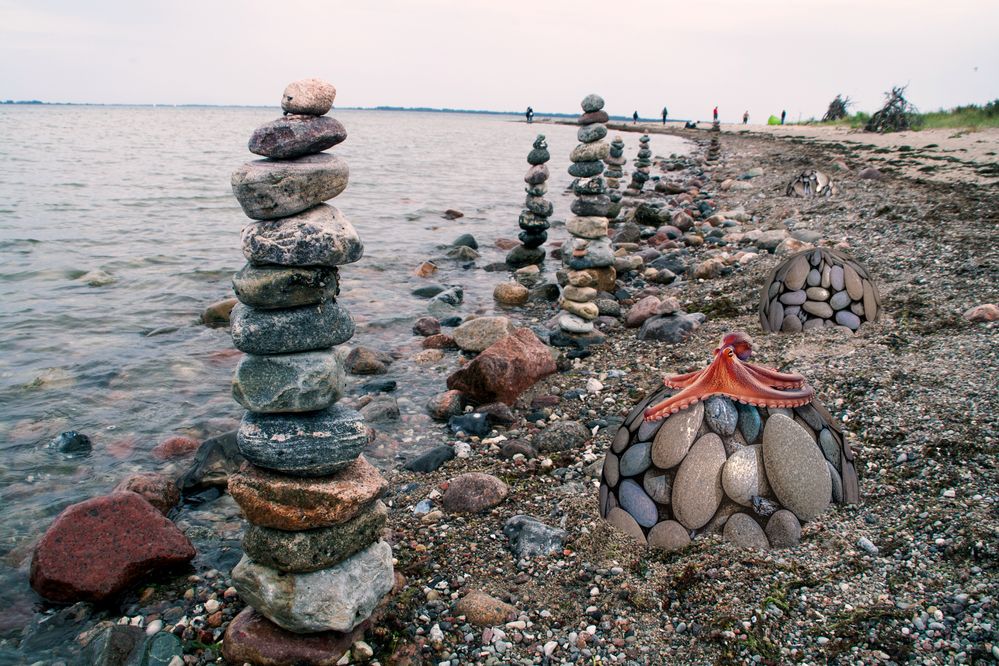 SFTW243_Beach.jpg