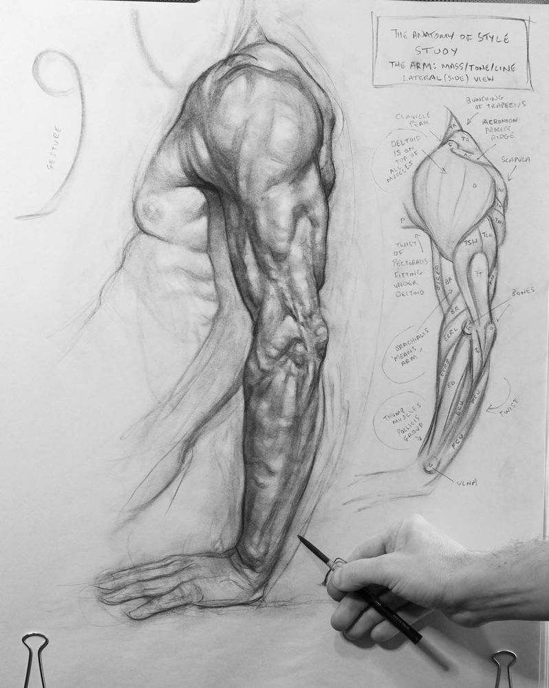 patrick_jones_arm_study.jpg