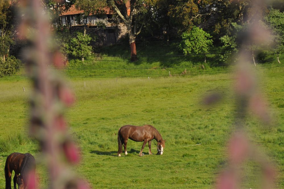 DSC_0143.JPG