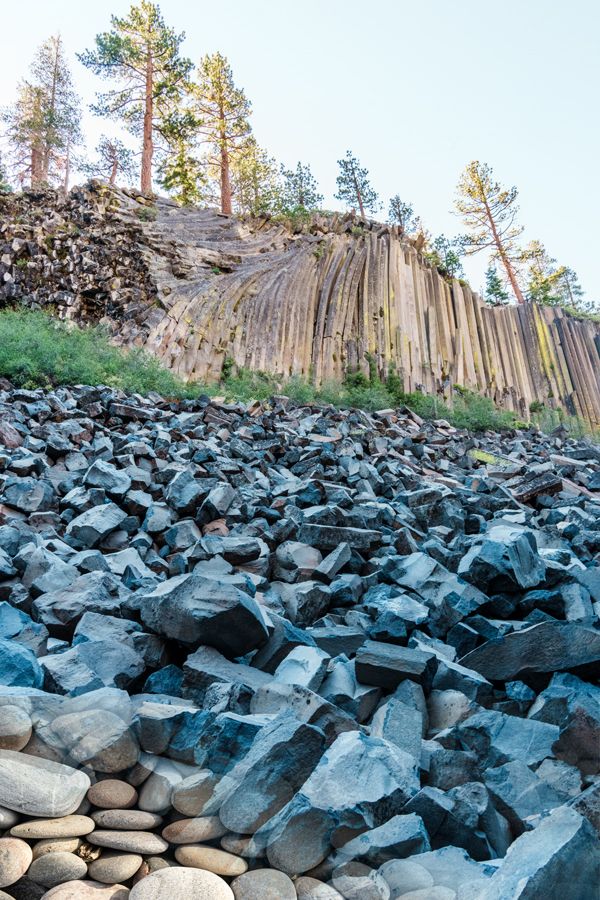 SFTW 243 Devil in Details small.jpg