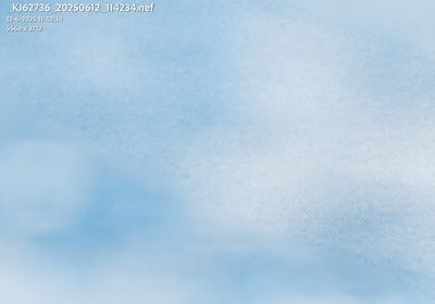 _KJ62736_20250612_114234_nef_Nikon_D6_remove_result_detail.jpg