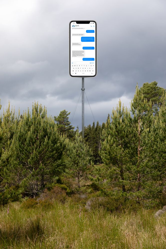 SFTW245Mast JE01.jpg