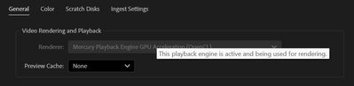 rendering options.jpg
