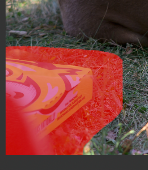 CleanShot 2025-07-31 at 16.12.19@2x.png