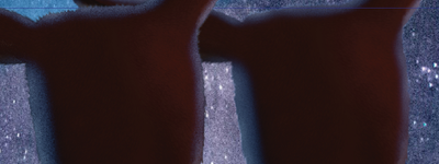 Screenshot 2025-08-01 113205.png
