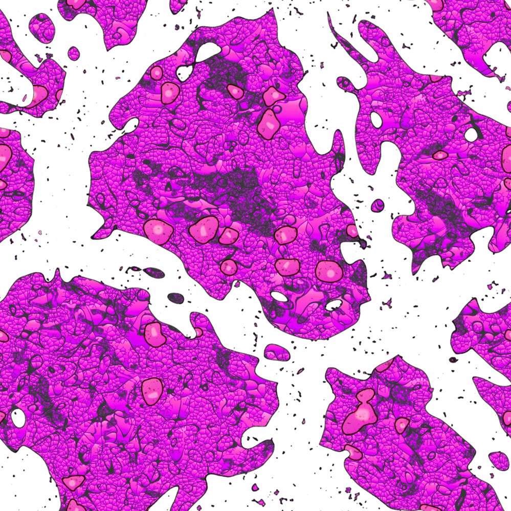 SFTW246Cells.jpg