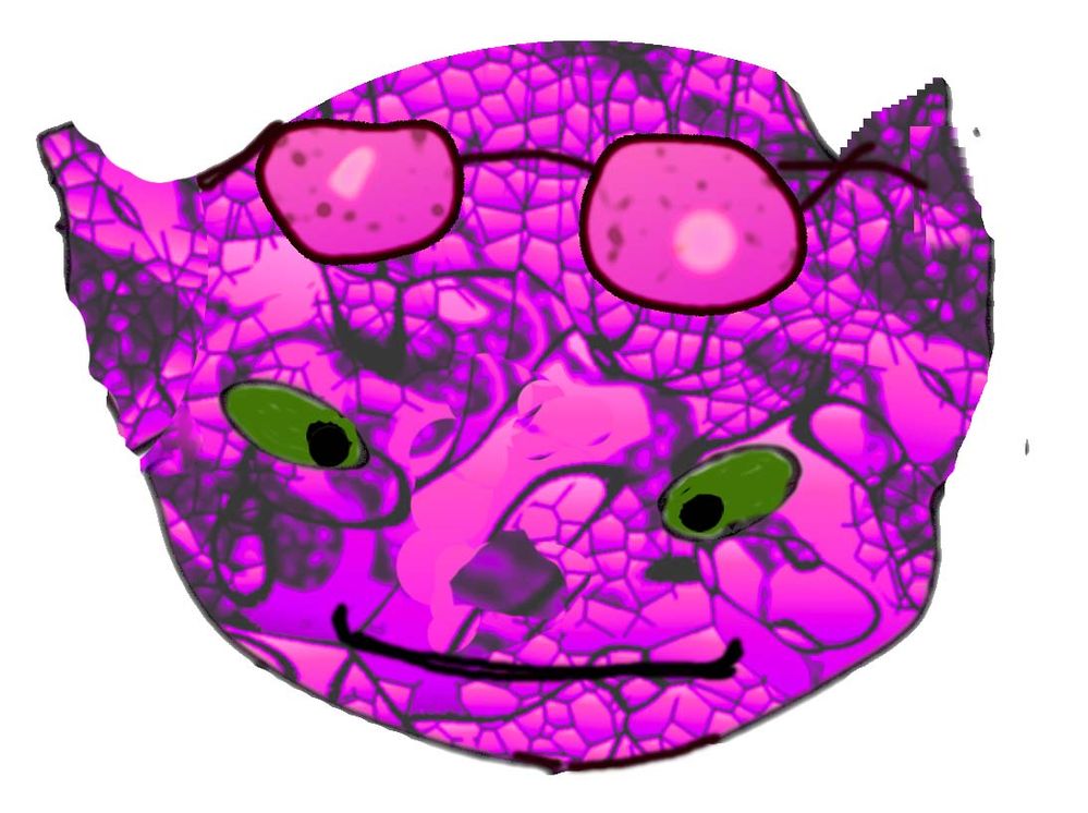 SFTW246Cells submitted.jpg