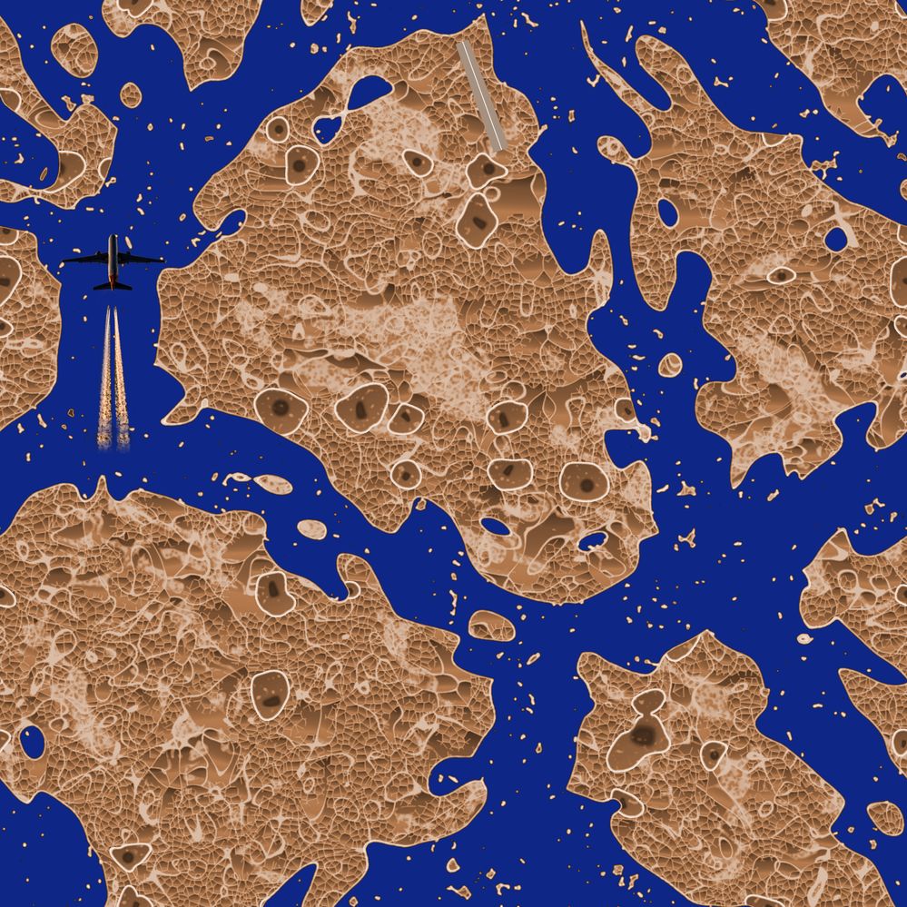 SFTW246Cells-out.jpg
