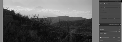 JapanMike_0-1754575088399.png