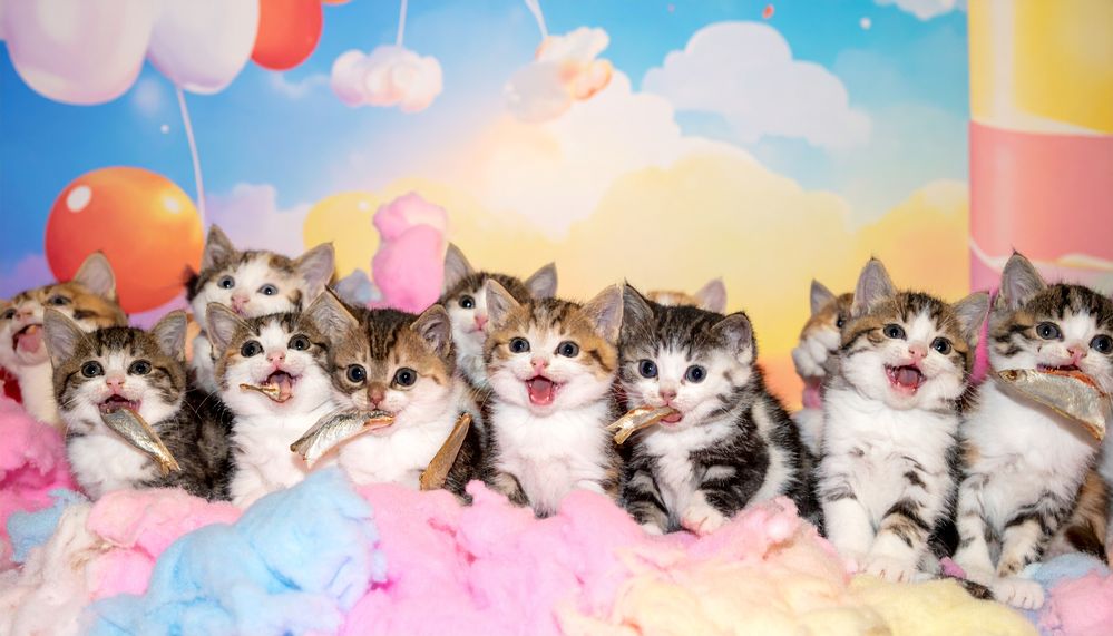 Firefly_a party of many happy smiling cute kittens are sitting on cotton candy clouds. The ar 935965.jpg