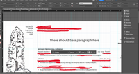InDesignIssue3.png