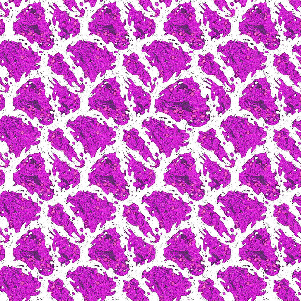 SFTW246Cells2.jpg